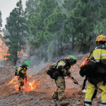 Incendio de La Palma continúa activo aunque con evolución “favorable”