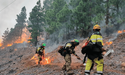 Incendio de La Palma continúa activo aunque con evolución “favorable”