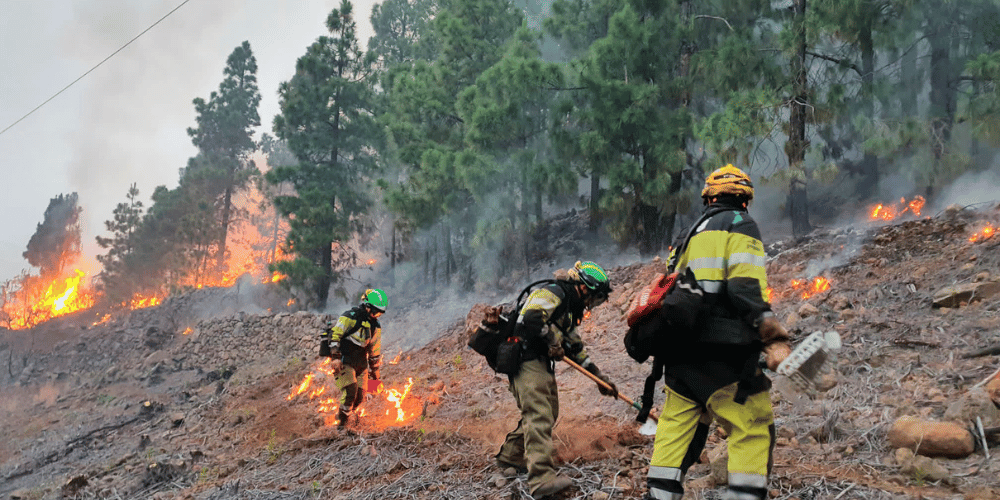 Incendio de La Palma continúa activo aunque con evolución “favorable”