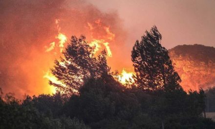 Incendios en el Mediterráneo dejan más de 40 muertos y miles de hectáreas quemadas