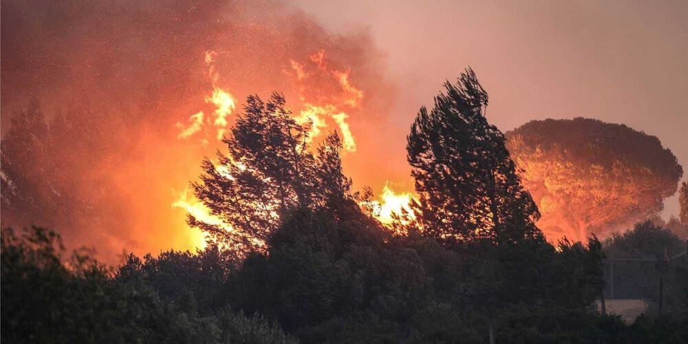 Incendios en el Mediterráneo dejan más de 40 muertos y miles de hectáreas quemadas