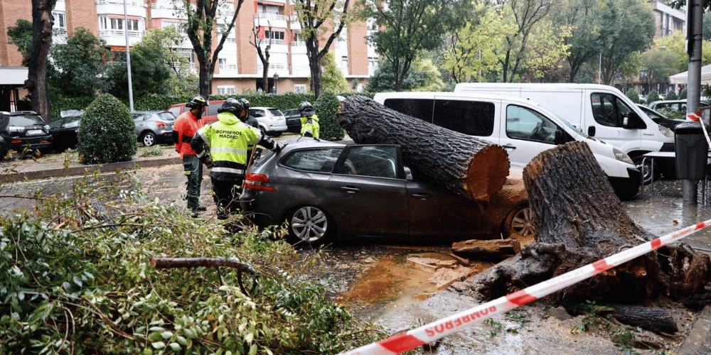 muere-mujer-madrid-caer-arbol-borrasca-ciaran-migrandoaeuropa.com