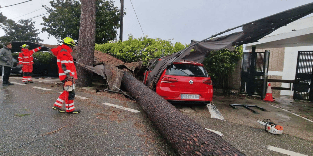 Muere mujer en Madrid tras caer un árbol por el fuerte viento de la borrasca Ciarán