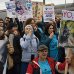 Cerca de 2.000 veterinarios protestan en Madrid para exigir una regulación “justa” de medicinas para animales