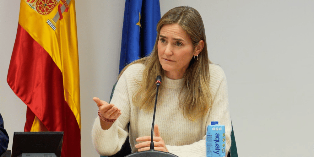 lusa-redes-electricas-nacionales-reanuda-parcialmente-intercambio-electricidad-espana-jueves-migrandoaeuropa.com