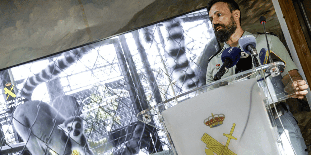 Operación del Seprona en zoo clandestino en Nules con jaulas de animales exóticos incautados