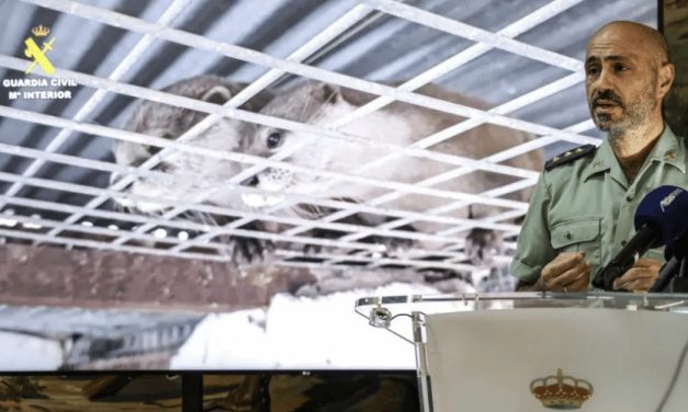 Desmantelan zoo clandestino en Nules, Castellón, con más de 150 animales exóticos incautados