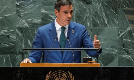Posición España conflicto Gaza: Reconocimiento Estado Palestino y condena al genocidio